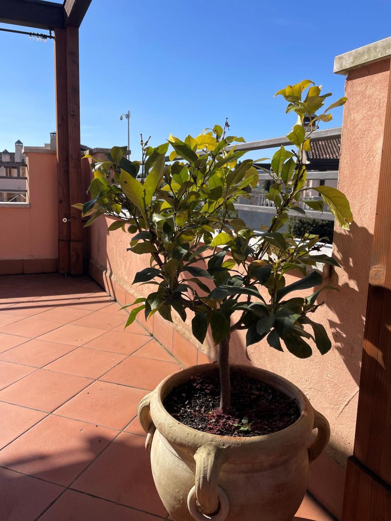 Apartment Garda Village 9